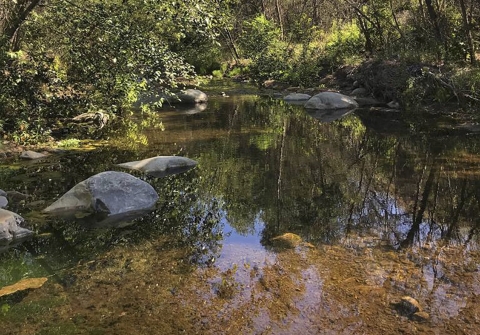 a slow moving river