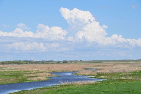 Wetland on Hurons WMD