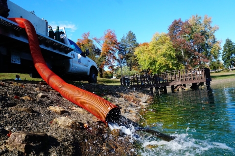 Water and fish being expelled from a large, orange hose from a white distribution truck into a green body of water.