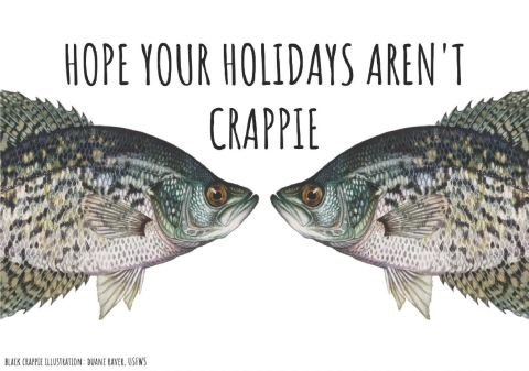 An illustration of two fish called crappies are in front of a white background. The fish seem to look into each other’s eyes. Text over the fish says “Hope your holidays aren’t crappie.” 