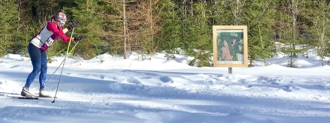 A woman cross-country skiing on a snow-covered trail with directional signs in the foreground and forest in the background