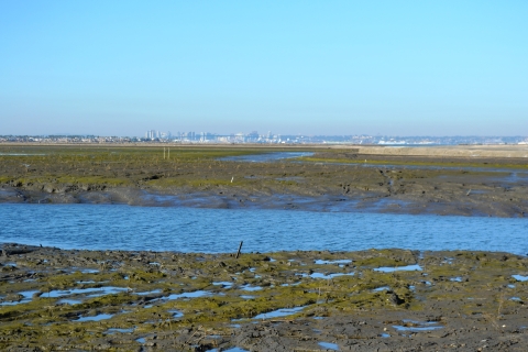 Otay River water flows into the newly-breached former salt ponds on the San Diego Bay NWR.