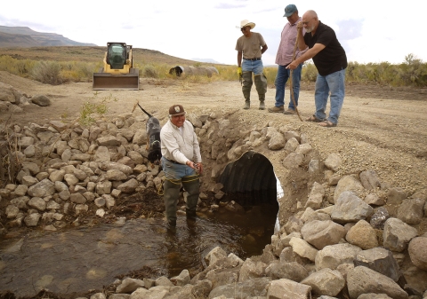 four men looking at a culvert