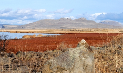 Picture of Tule Lake South end looking East to the Peninsula