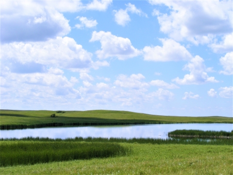 Waterfowl Production Area