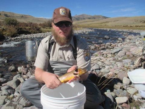 Yellowstone cutthroat trout from the Wind River Indian Reservation