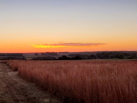 Sunrise on the prairie lights up distant clouds and turns the horizon orange.