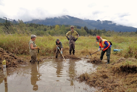 A group of people standing around standing water in a wetland area