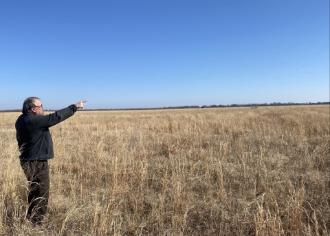 Male wildlife biologist points to a skein of snow geese crossing high above the Howell Tract.