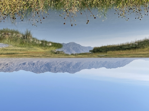 Spring fed wetlands surrounded by vegetation and mountains as a backdrop.