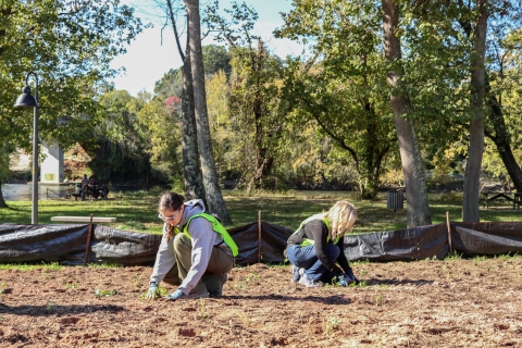 Two people, back-to-back, planting in cleared soil