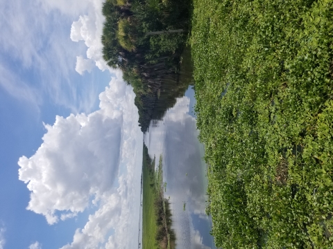 Stick Marsh Critical Wildlife Area