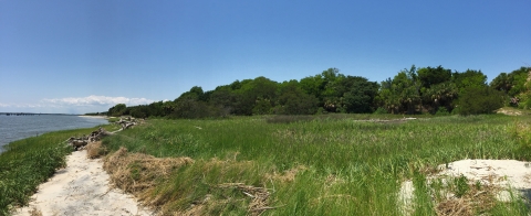 View fron the south end of Tybee NWR looking north up the Savannah River