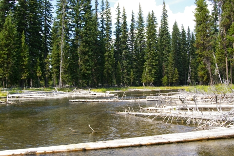 Upper Deschutes River