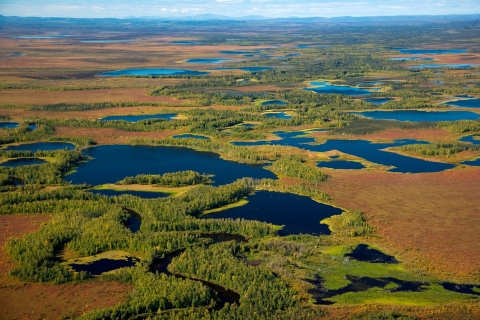 Triumph of the trumpeter swans | U.S. Fish & Wildlife Service