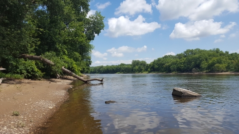 Picture of river and riverbank where freshwater mussels were released