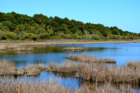 Upper Summerhouse Pond at Bulls Island, Cape Romain NWR