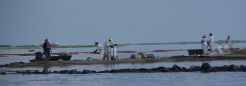 White-suited people collect samples on an oil-tarred beach in Louisiana.