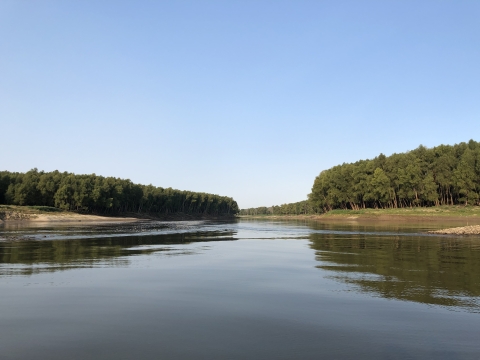 Lower Mississippi River secondary channel