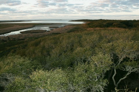 A view of wetlands from above