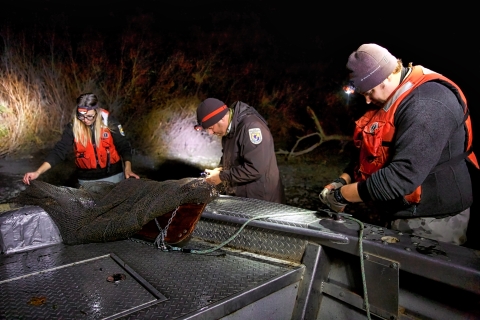 Two men and a woman work with a net by the side of a boat