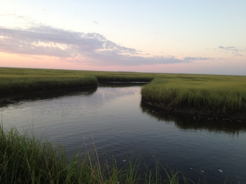 Sunrise over the Brigantine Wilderness Area