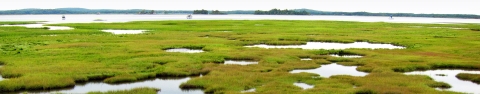 This is a view of the salt marsh at Parker River National Wildlife Refuge