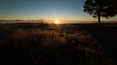 sunset landscape with brown tall grasses