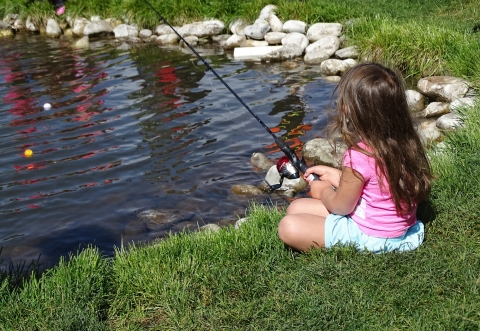 A young person fishing from the bank of a pond