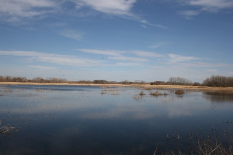 Sky reflected in water of moist soil management unit