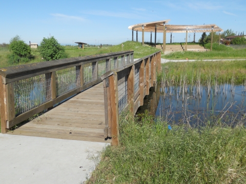 Blue Heron Trails at Stone Lakes National Wildlife Refuge