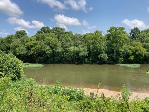 Freshwater mussel collection site on the Duck River