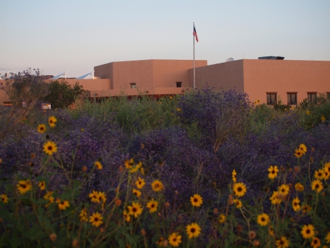 Sevilleta NWR Visitor Center with purple sage in bloom