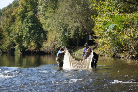 Three people hold a net in a river.