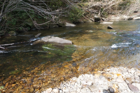 Water flowing in a river