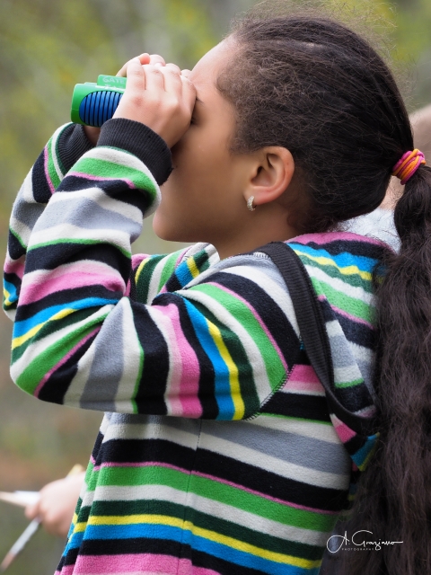 A young birder looks through binoculars