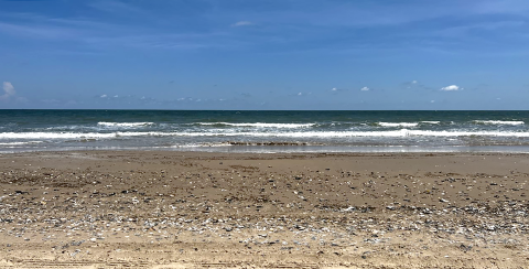 Anahuac NWR Beach