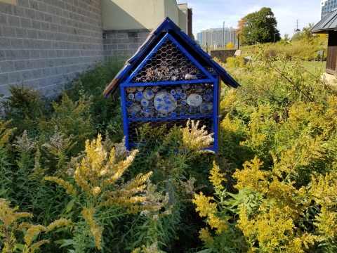 A small house structure filled with wood bundles stands among flowering plants.