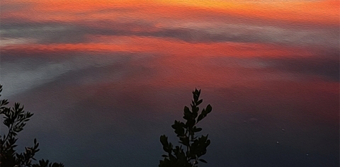 Sunset oranges and yellows at J.N. Ding Darling NWR