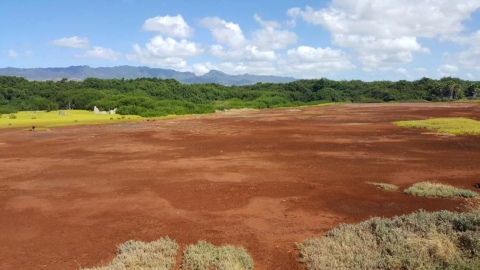 Overview photo of a bare dirt area which is the future site of the waterbird restoration pond at Pouhala Marsh, where an eight acre pond will be excavated as part of the future wetland enhancement and restoration at the Hawaii State Wildlife Refuge.