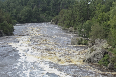 A river churns along the rocky rapids. Evergreen trees frame either side of the water. 