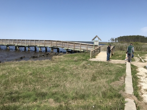 A wooden pier with a gravel sidewalk through a grassy landing at its base.