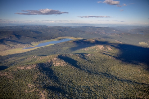 aerial view of forested area, water