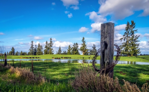 Working lands near Rainier, Washington, producing livestock, forest products, wildlife habitat, and outdoor recreation.