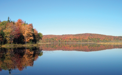 a view over a lake of a mountain with trees in fall foliage and reflected in the water