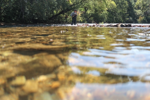 Person standing in a river, holding a small net up their face