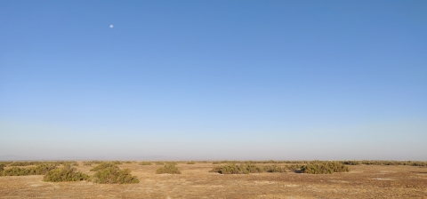 The moon over Kern National Wildlife Refuge where few shrubs grow on flat, sandy soil