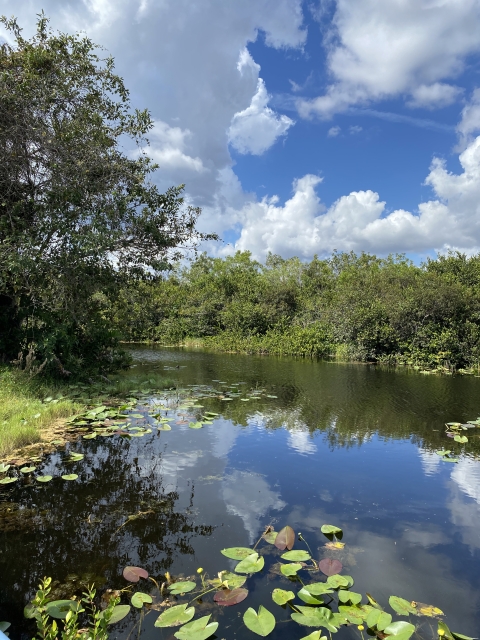 Old Tamiami Canal, Miccosukee Tribe of Indians of Florida Reserve Area