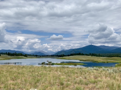 Landscape of mountains, forests with lake in foreground and puffy white clouds above... 