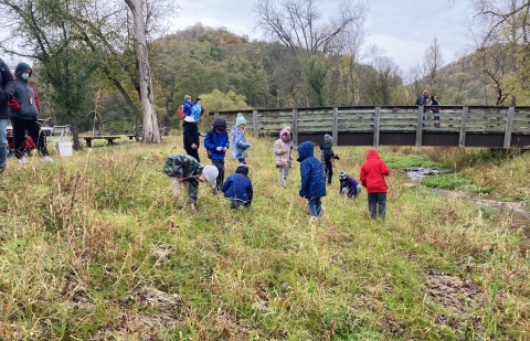 Group of students plant native seeds on stream bank